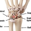 동행의원한의원 이미지