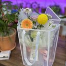 꽃사세요 꽃 이미지