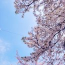 화이트샌즈 보닛햇 오드리 30대 여름모자 블랙 후기