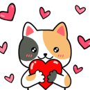 해당화스튜디오 이미지
