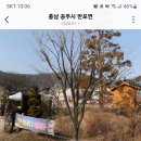 계룡산 상신리 산행 이미지