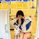캠프마징가 이미지