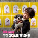 사단법인함께하는우리마음 | 한남동 CCCS 살롱을 뜨겁게 달군 유기견 입양 파티 후기 - 유엄빠