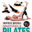 올바른i태권도 이미지