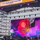 뮤직프라자 | [공지] 2025 컬러 인 뮤직 페스티벌 인천 후기