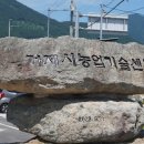 미로달 이미지