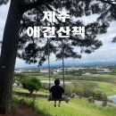 애월 수산봉 애견동반 산책코스 후기, 강아지와 걷기 좋은 조용한 오름 추천