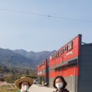 왕언니푸드
