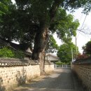 광철농장 이미지