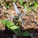 천문대길 이미지