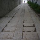 언덕위에 이미지