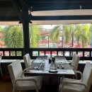 이안 메드 이미지