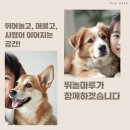 신원아침도시 | 강릉 강아지매트 송정신원아침도시 애견매트 다녀왔습니다