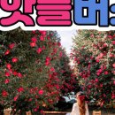 해찬농장 이미지
