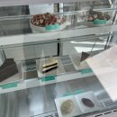 코브나인 이미지