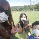 숙호산 체육장 2(배드민턴장) | 서울산책하기좋은 보라매공원 동작구 아이들과가볼만한곳1위 반려견놀이터도있어요
