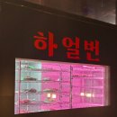 세종 양꼬치 맛집 나성동 하얼번