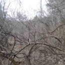 하천리-6 이미지