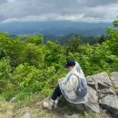 축령산아침 | 서울 근교 등산코스 축령산 서리산 : 뚜벅이 셋 알레버스 이용후기 feat. 브라이덜샤워