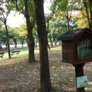 숲속 향기 작은도서관 이미지