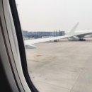 844 | 중국 칭다오에서 인천 | 대한항공 KE844 직항 탑승 후기 | 기내식 정보