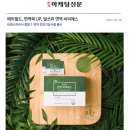 비피에스 이미지