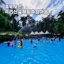 군민의 집 | 속리산숲체험휴양마을 수영장 정이품보은군민 할인