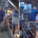 남성농장 이미지