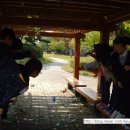 까치울초 이미지