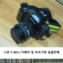 Nikon 니콘카메라 F-801s 이미지