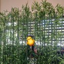 잇티제영어교습소