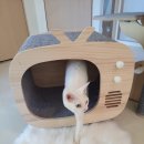 묘릉도원 이미지