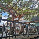 와우한우목장 이미지