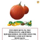 천상과일 티스토리
