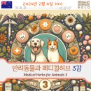 메디컬허브 이미지