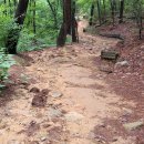 인천대공원(남문) 이미지