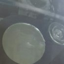리스토어글래스 이미지