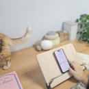 트레인하드 | 따라하면 암기되는 영단어외우기 앱 보카트레인 | 고등영단어 학습 후기