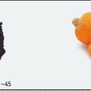 올인핏 2호점 이미지