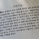 해맞이경로당 Daum카페