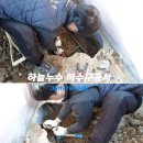 장부다리주유소 이미지