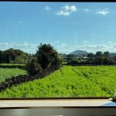 세화14길 이미지