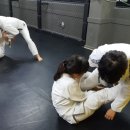 복싱 MMA 주짓수 마이티짐 이미지