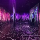 아르떼뮤지엄 이미지