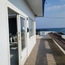 그랑블루 | 제주 그랑블루 요트투어 후기, 서귀포 대포항에서 즐긴 여유로운 바다 시간