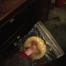 부림한방병원 | 인간은 다 바다의 자식이다