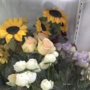 더카페원주