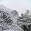 제332차 1월 22일 태백시 태백산 눈꽃 축제 산행 예약 이미지