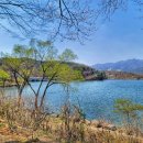 얌샘김밥 과천역점 이미지