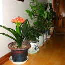 우리들세상 이미지